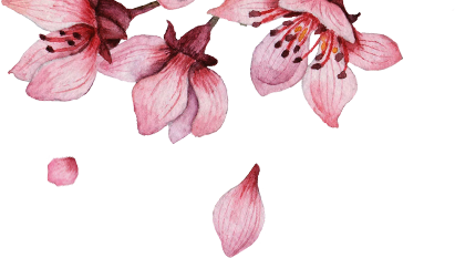 pink flowers